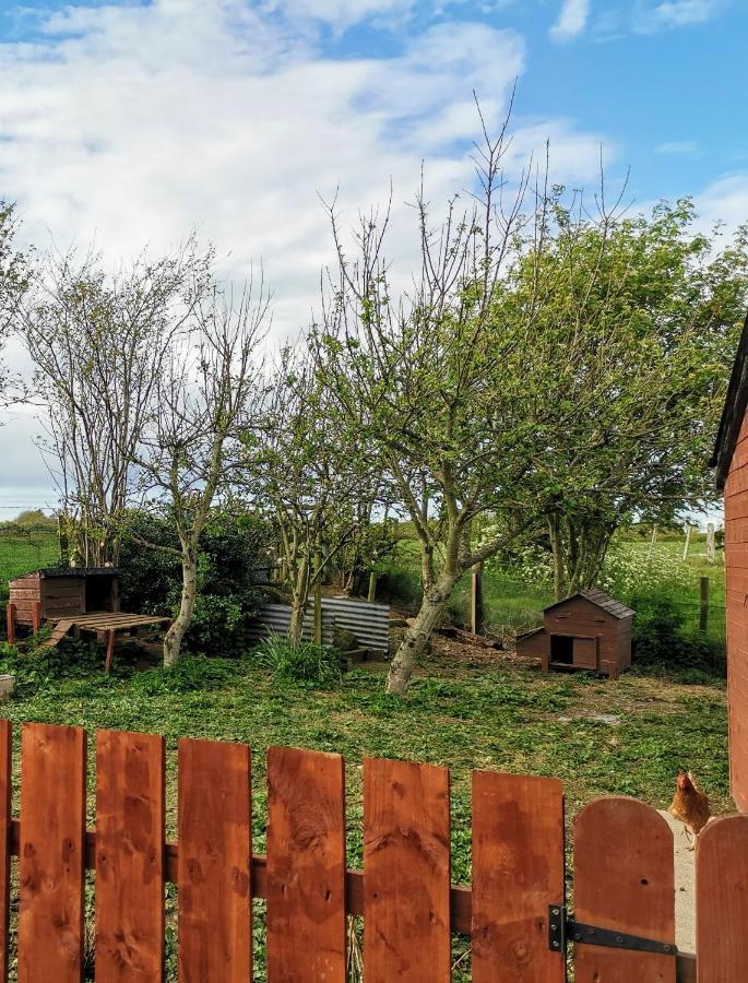 The Nook @ Rowan Tree Cottage Ballymoney Exterior photo